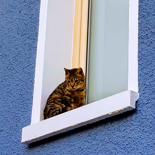 K976 Collection - old