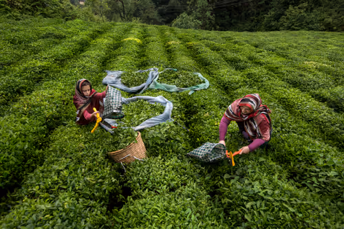 Item #113076858073467689643899346796900450933537958386378511512148870033047904321537 Media