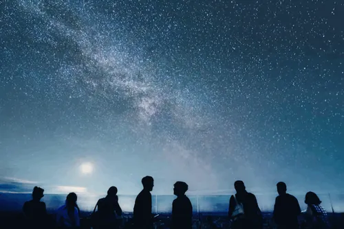 Item #10286067785987397475695861072081322574050251842707954506251798368164662738945 Media