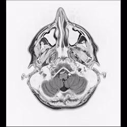 64162533542198579898252916190583583845604629893829087458582975660030599102465