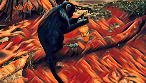 Item #94043160171262060061437071390012762444872149668666996053657412767030387408897 Media