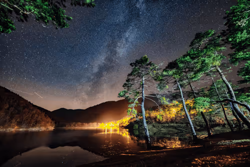 Item #103012301657456598627464593711191492996341926608798375780323323138407734968321 Media