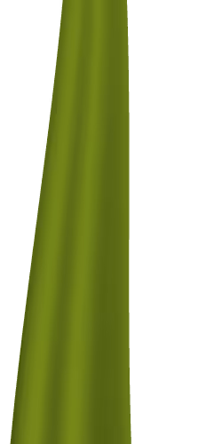 EtherGrass
