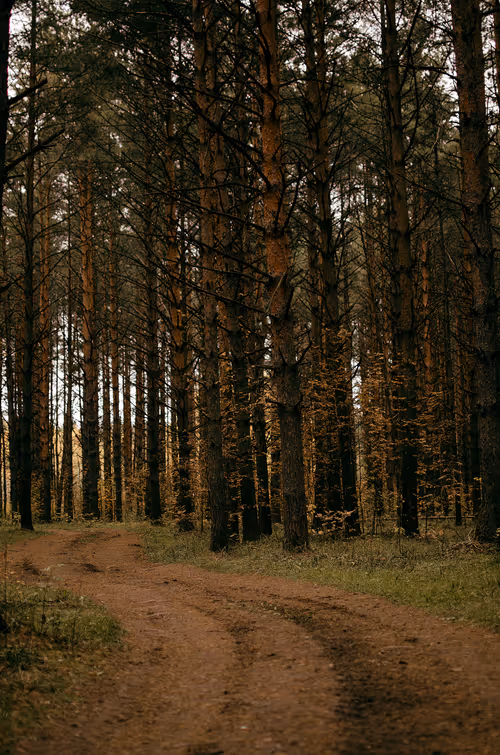 Item #89749655781633695214918973850275472722969414754438239918620403806226104713217 Media