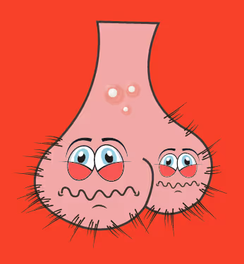 Item #22793047471806318065020766672709763262679883798276267629942525251133596762113 Media