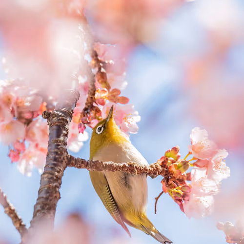 108911492996146874115956011896780761878527851196280444702557873501774247100417