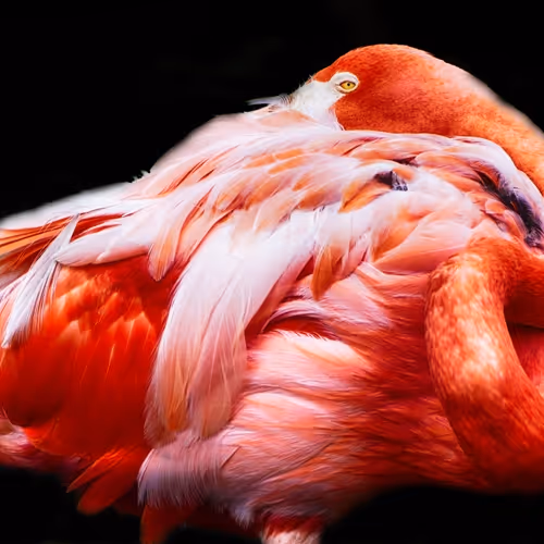 57454491023137916107007493201948815472587961712729591816545853691681493221377