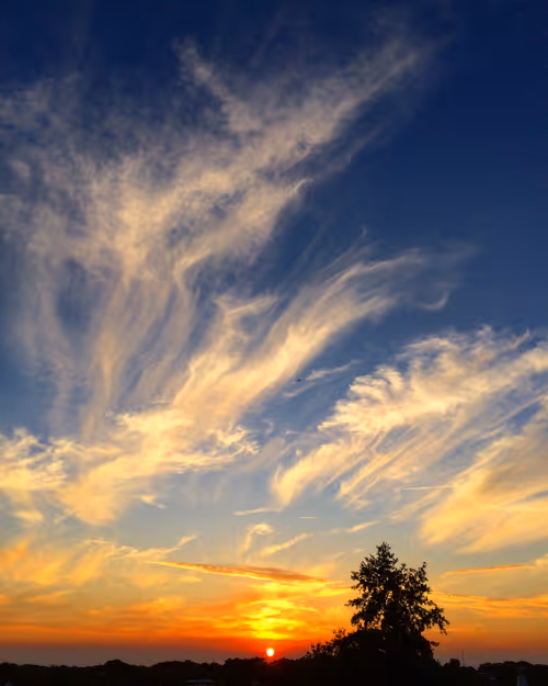 Item #79655167907517619364713975577317788096264741034631426669771217873433800998913 Media