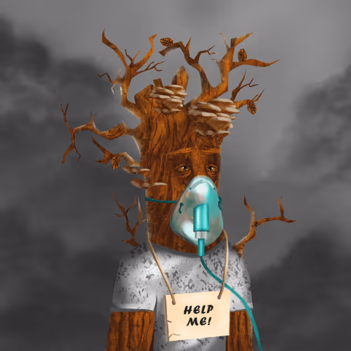 Item #38969088093190670381878411557565580659447067316565611691845277238697022980097 Media