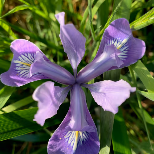 Item #81393590591900820048764161252744971355919767669927954307435201788194771173377 Media