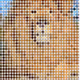 3957525847024000611633304177316060312014481685109175695946261407897183322113