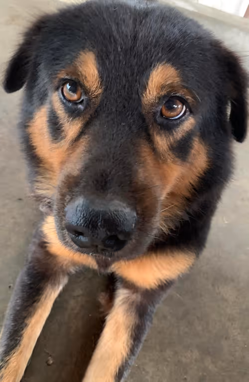 Item #56055091060271351536523847984853154360378800009370414984463609017388727533569 Media