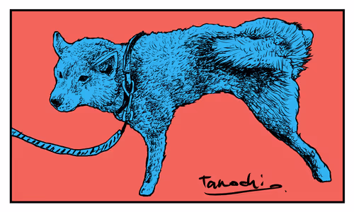 Item #112440547499717604048536072211740983446434024043436652955614128753486380138497 Media