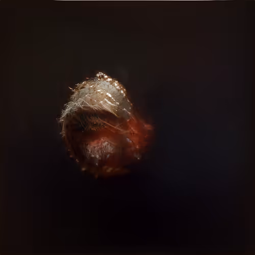 Item #84457744602723809043049191225279009657327463478214710277063869684354174156801 Media