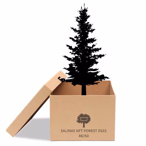 Item #63532776318757439562276927313719991273687356279339277108967620950835094093825 Media