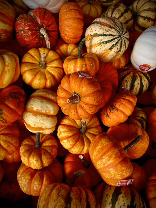 Item #68021680421370609917971695803708180506045537231368972803899735075729837129729 Media