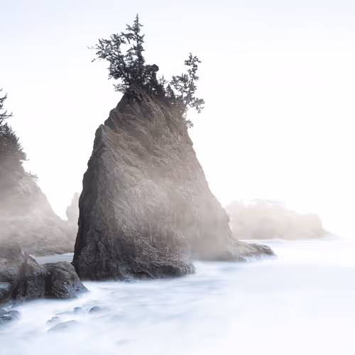 The Quiet Noise Collection