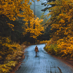 Fall Wanderer