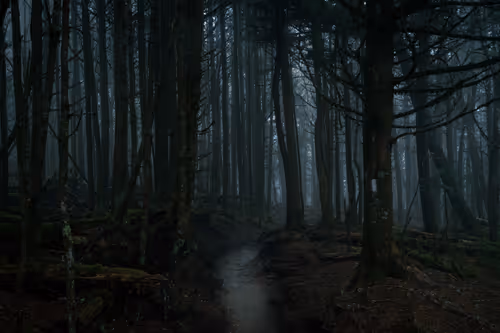 Item #27268559498061748325784621046965527840934976554079147599746578495745443233793 Media