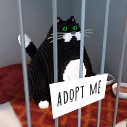 Cat #95
