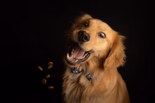 Item #3145360531430904933495942820931552338028161050553888084454697304596257177601 Media