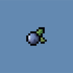 BlueBerry