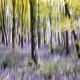 29674481815956556287028323431304075486908101410055124755599013429466951057409