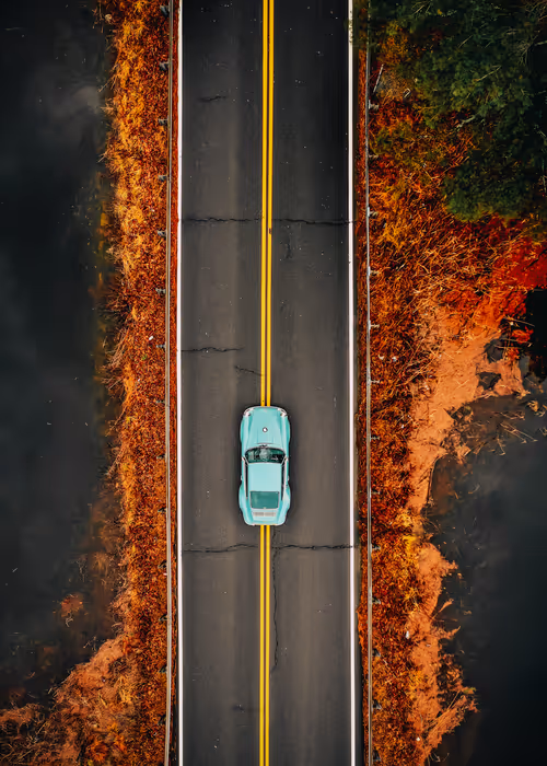 Item #31306949431079082875472894456006319516026694367471683219785722351914196140033 Media