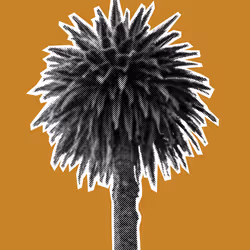 25379124807980713745219244606437574046087384809022650852355167117018470023169