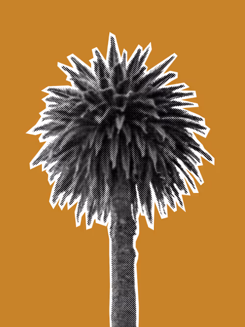 Item #25379124807980713745219244606437574046087384809022650852355167117018470023169 Media