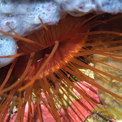 80965803268169370603932631570667161375508893671094224909166963929200342335489