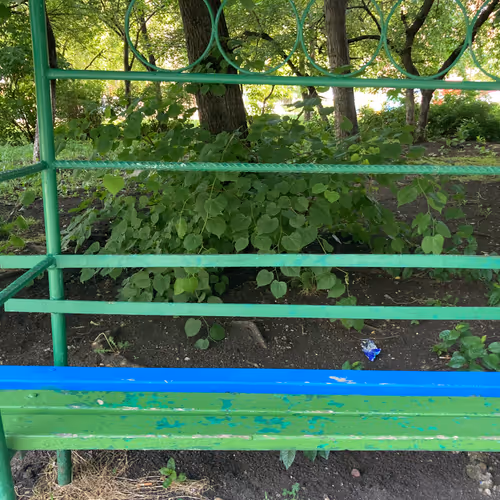 Untitled Collection #442348299