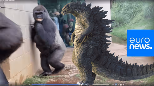 monke scared