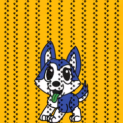 Meta Pomsky - Paws