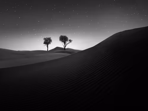 Item #108814857691029429230781820568210235490063919231059486623727012664071809925121 Media