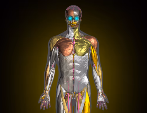 Item #85616260800140778956581373911837214761326127764924071871020287163937698349057 Media