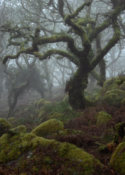 Item #72639390708267126639436568569652760193401123475841185469851730192782097121281 Media