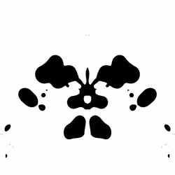 What do you see?