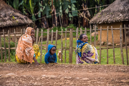 Item #50027882237522295676960542276708360859068113986169674979910833967977864364033 Media