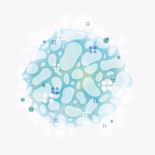 Item #23705591053634153916275485527537165044311854937638294311537292043358272749569 Media