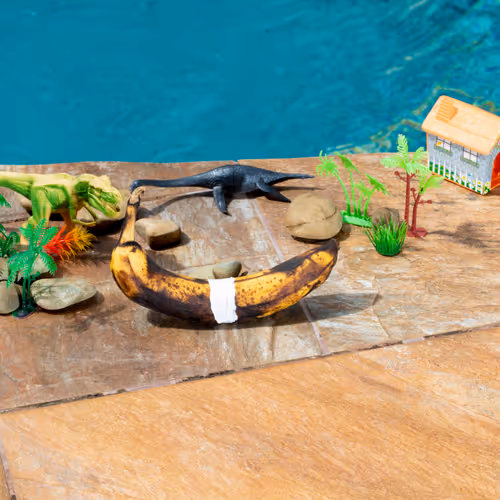 11856009833539413715690166442136142801742211333751337140122834381834993795082