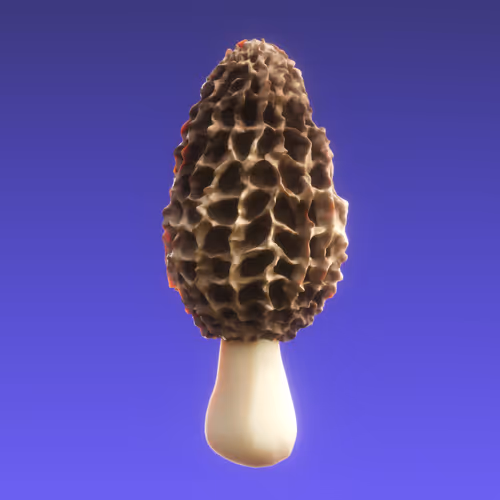 Item #95653877050150474555742155054455970472164202465768371638498213994275811622913 Media