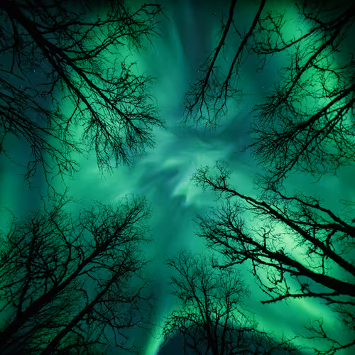 Item #88000790738585356177906877532357843810650647350531678193929358444130419605505 Media