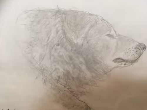 Item #2798886557042806862996260737379437753708202189265976662753732488374582771713 Media