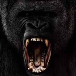 Angry Ape 3