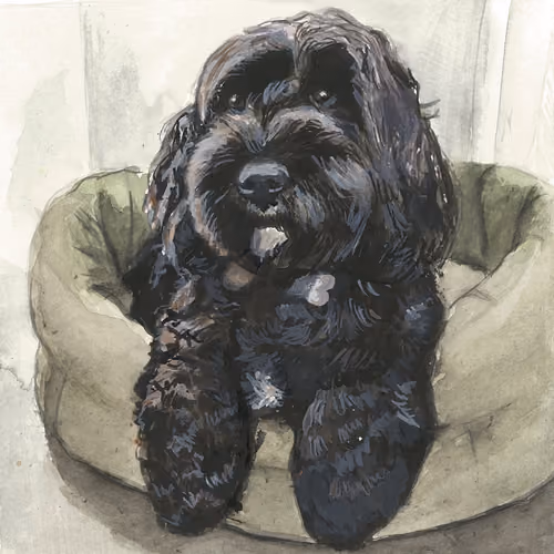 Dog Illustration #2