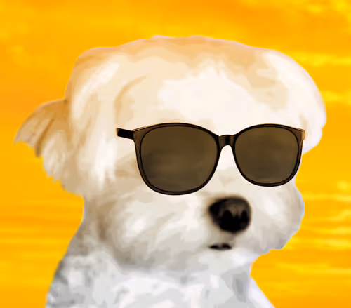 Item #21477548388787063266658748687199700189937005018840532589754440282068691714049 Media