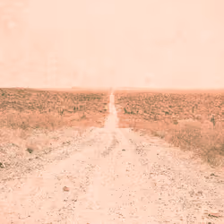 Mission Roads #33