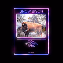 Snow Bison