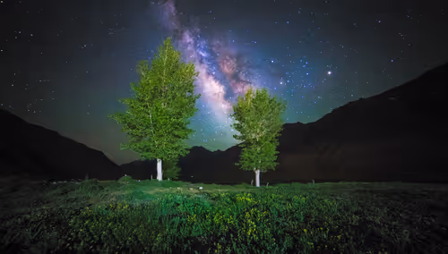 Item #9425749833926335333001150146280296056948702908253502131347533612273899667457 Media